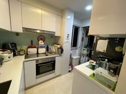 Eight Riversuites (D12), Condominium #593577261